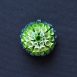 Green-gradient-anemone-pendant-front