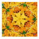 all-over-print-bandana-white-l-front-672a2442d9ed2.jpg