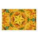 all-over-print-flag-white-front-67337a31bd00d.jpg
