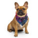 sunset vibes twilight quilled art bandana